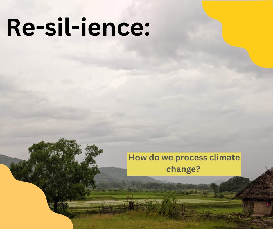 Resilience narratives: How do we process Climate Change? 
